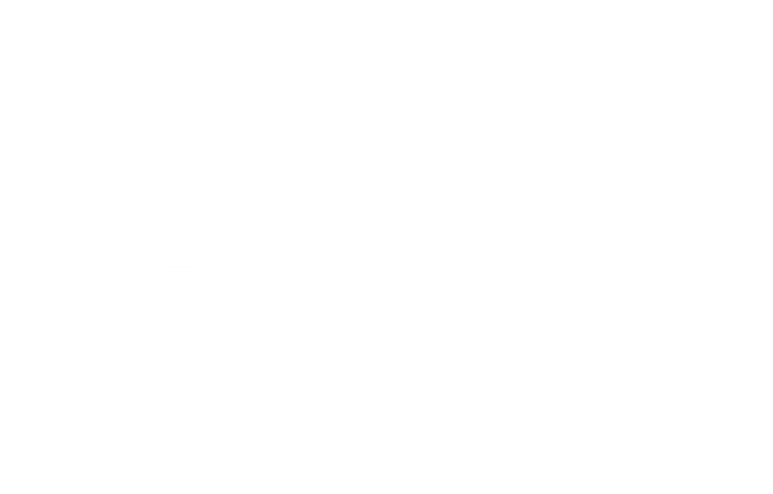 HoopX Fitness Logo